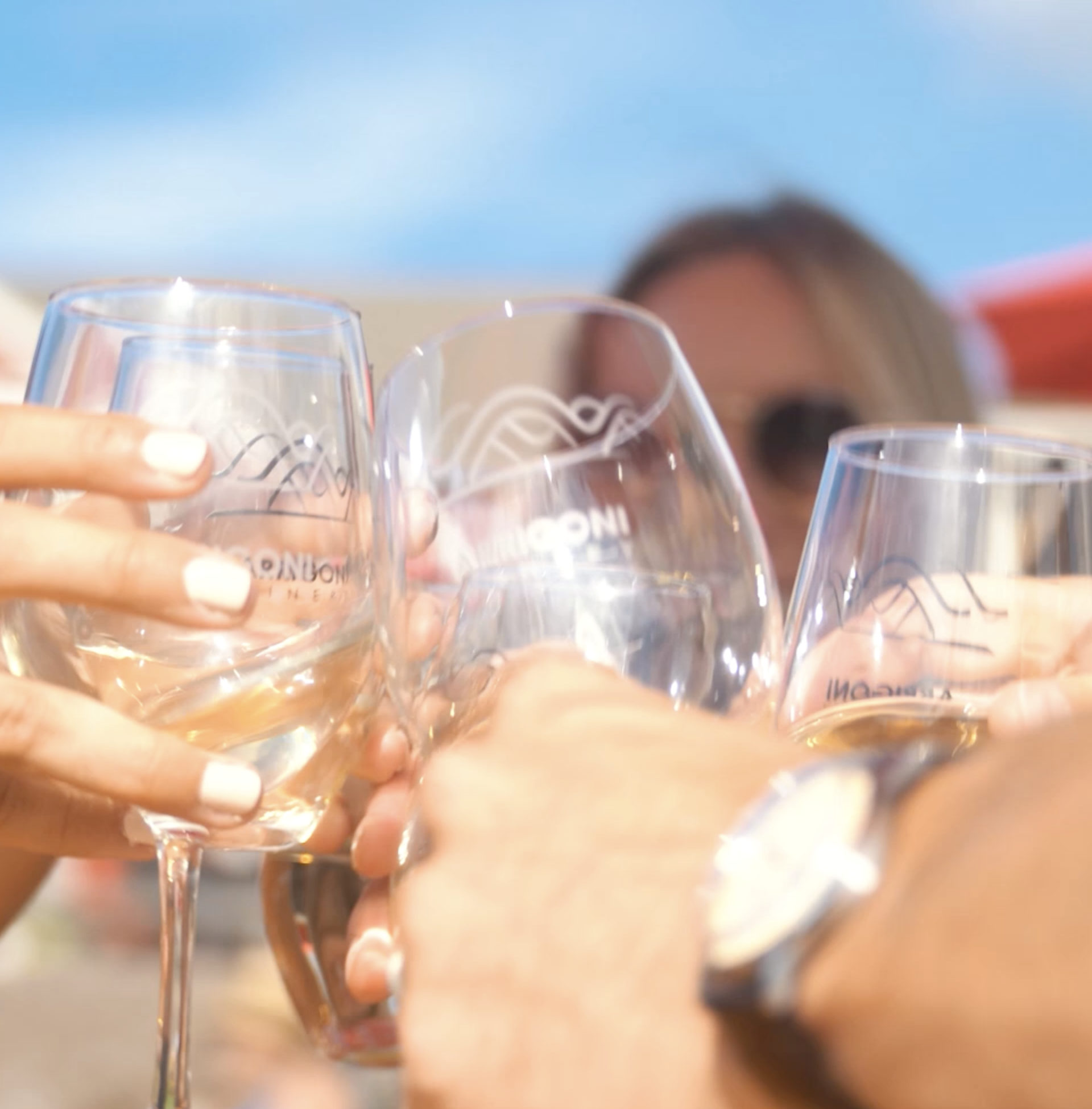 Arrigoni Winery - Wine glasses - cheers