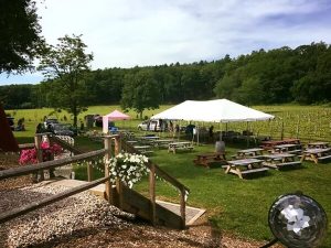 Outdoor seating with tables and benches at Arrigoni winery.